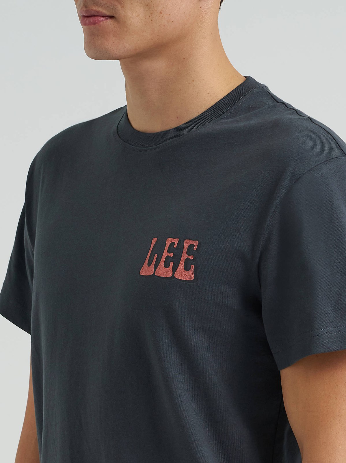 Men's Relaxed Fit Vinyl Shop Graphic Tee - view 7